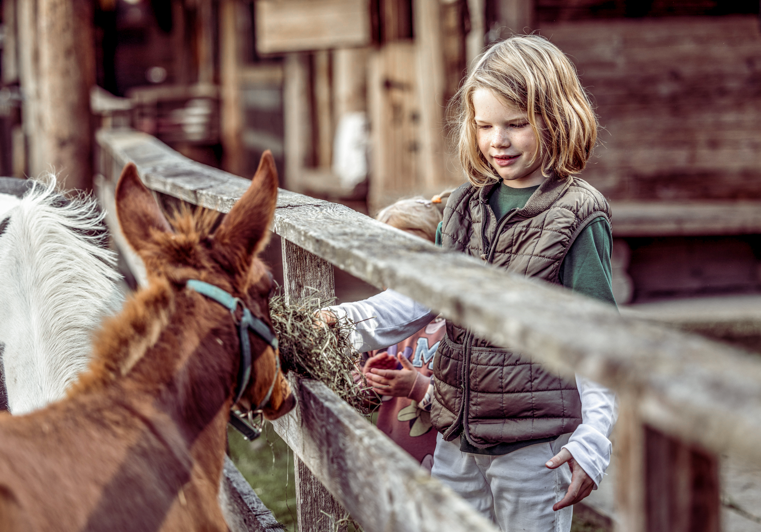 Kind streichelt ein Pony an einem Weidezaun.