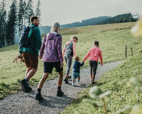Familie wandert gemeinsam über eine Bergwiese in den Alpen.