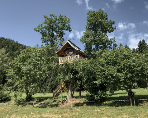Baumhaus aus Holz zwischen Bäumen auf einer Wiese.