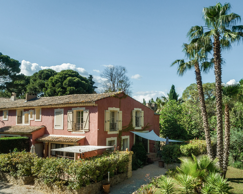 Mediterranes Ferienhaus mit Terrasse und Palmen in einem grünen Garten