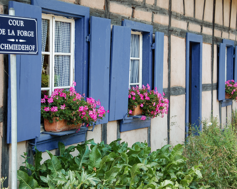 Hausfassade mit blauen Fensterläden und Blumenkästen, daneben ein Straßenschild