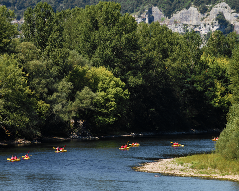 Mehrere Kanus fahren auf einem Fluss durch eine bewaldete Landschaft