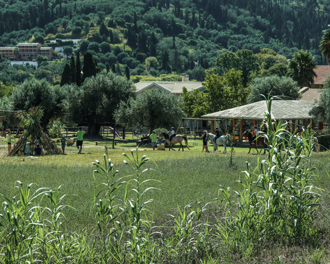 Ländliche Landschaft mit Bauernhof und grünen Hügeln im Hintergrund