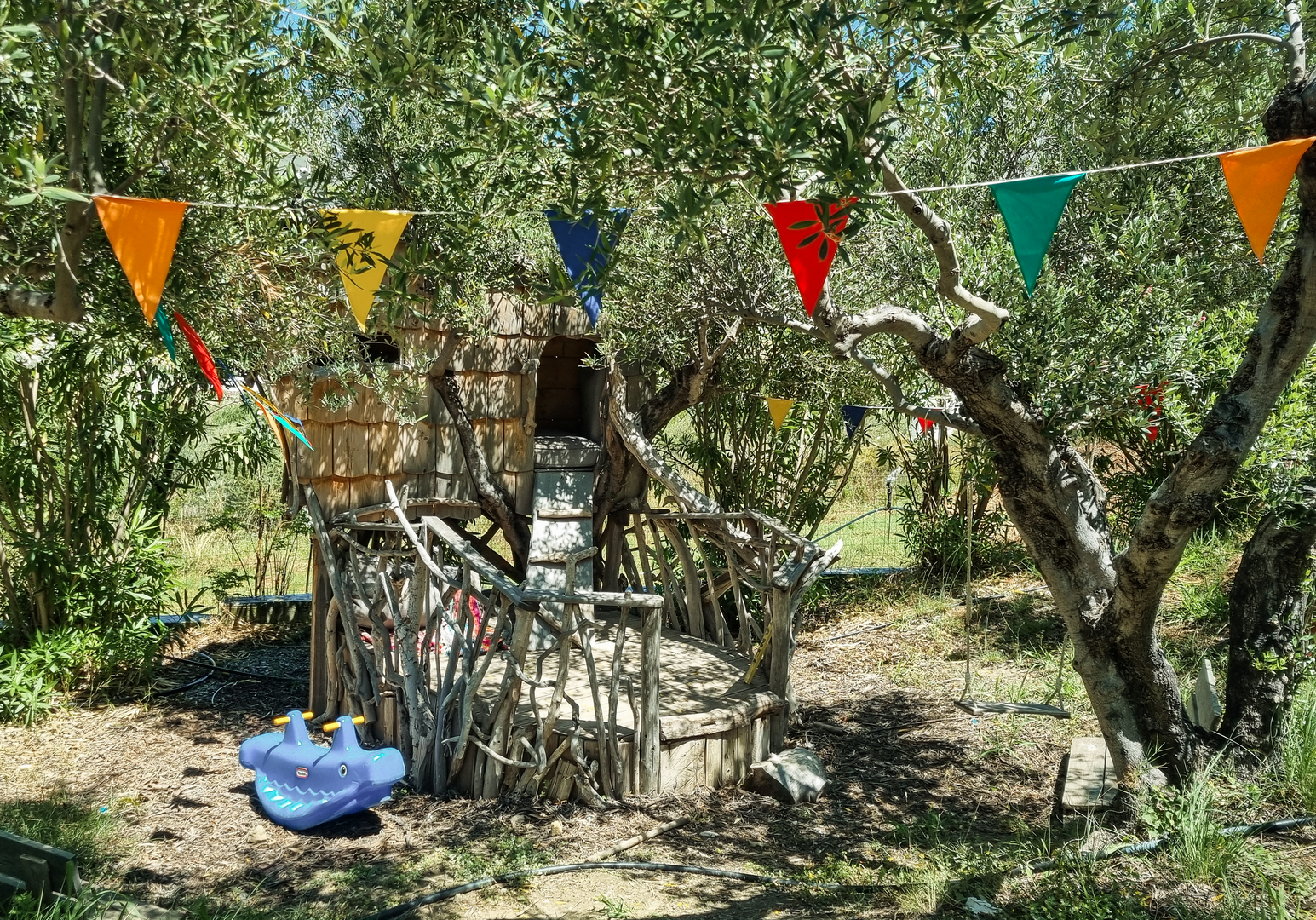 Bunte Girlanden schmücken einen gemütlichen Garten zwischen Olivenbäumen