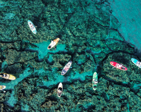 Stand-up-Paddle-Boards im klaren Wasser zwischen Felsen und Unterwasserlandschaft.