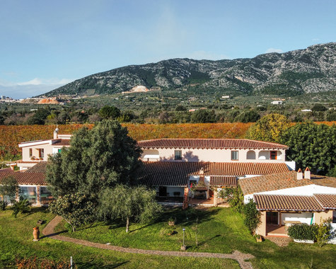 Gebäude und Felder mit bergiger Landschaft im Hintergrund 