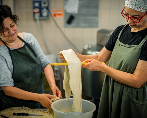 Zwei Personen bereiten gemeinsam frische Pasta in einer Küche zu