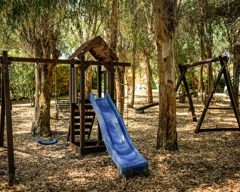 Ein Kinderspielplatz im Schatten der Bäume mit einer blauen Rutsche 