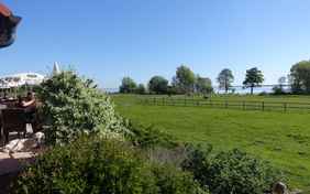 Von der Restaurantterrasse schweift der Blick über die Pferdekoppeln zum See.