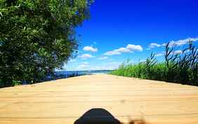 Auf ins Wasser! - Foto: Michael Martius