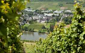 Der Blick auf Longuich vom gegenüberliegenden Weinberg - Foto: Maurice Shourot