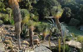 Gleich nebenan: ein zauberhafter botanischer Garten - Foto: Domaine du Rayol