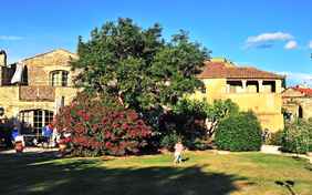 Der schöne Garten ist Ruheoase für Eltern und Spielparadies für die Kinder - Foto: Tobias Hannemann
