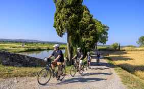 Radtour entlang des Canal du Midi - Foto: Bethel Fath