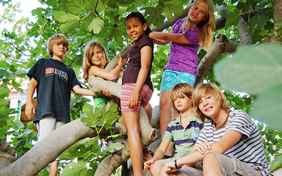 Treffpunkt Feigenbaum