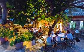 Abendessen unterm Feigenbaum - Foto: Tim Hoppe