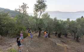 Ausflug in der Kinderbetreuung - Foto: Tim Hoppe