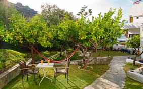 An heißen Tagen locken schattige Plätze im Garten