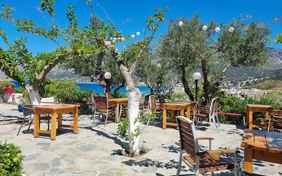 Mit einem leckeren Frühstück auf der Terrasse beginnt der Tag