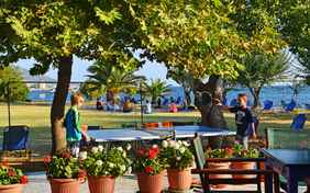 Tischtennis oder Yoga - im Garten ist Platz für alle.