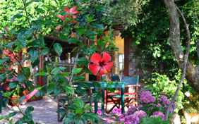 Blick auf die Terrasse