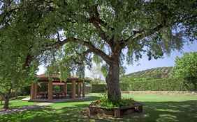 Der großzügüge Garten mit schattenspendenden Bäumen