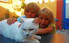 Ein Paradies für Kinder - und Tiere