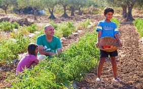 Mmhh, lecker! Tomaten frisch vom Feld - Foto: Ingo Wandmacher