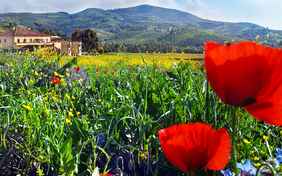 Landurlaub zwischen Bergen und Meer