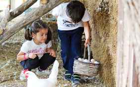 Bei verschiedenen Aktionen kann man das Leben auf dem Agriturismo kennenlernen: Eier sammeln, Kühe melken....