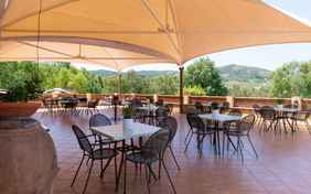 Im Schatten lässt es sich gut aushalten - Foto: Luigi Buonadonna 