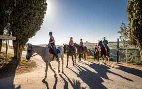 Morgenausritt - Foto: Bethel Fath