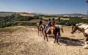 Ausritt über die Hügel - Foto: Bethel Fath