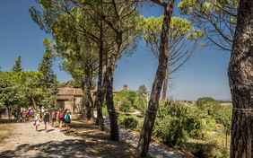 Mit der Vamos Kinderbetreuung unterwegs - Foto: Bethel Fath