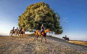 Ein Traum, diese Landschaft auf einem Ausritt zu erkunden - Foto: Bethel Fath