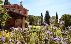 Ein Blick in den Garten