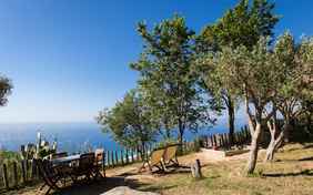 Der wunderschöne Ausblick aus dem Garten - Foto: Karin Kalandra