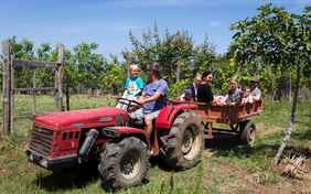 Zusammen geht es zur Ernte - Foto: Karin Kalandra
