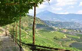 Blick auf Meraner Becken