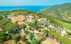 Ein Überblick von oben über die grüne Landschaft 