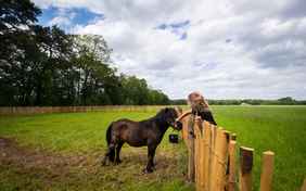 Hier gehen Mädchenträume in Erfüllung 