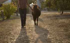 Für jüngere Kinder ist das Ponyreiten ein Highlight. - Foto: Philip Nürnberger