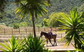 Reitlehrerin Daniela bietet Einzelstunden für Erwachsene und Kinder an. - Foto: Philip Nürnberger