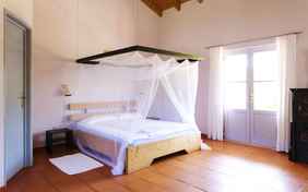 Zimmer Lavendel - Foto: Philip Nürnberger