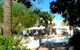 Herrliche suptropische Gartenanlage