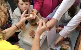 Familienaktion "Honigverkostung"