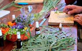 Workshop Kräuteressenzen herstellen