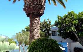 Wunderbarer Garten des Centro's