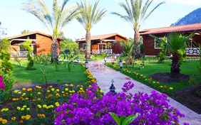 Die Garten-Lodges und Suite Bungalows sind über die Gartenanlage verteilt