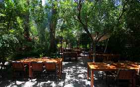 Ein umfangreiches Frühstücksbuffet steht am Morgen im Gartenrestaurant bereit